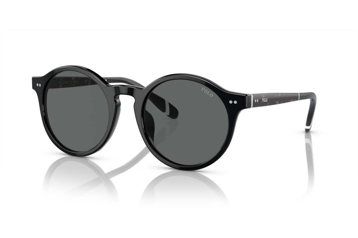Sunglasses Man Polo PH 4204U 500187 - price: €118.50 | Free Shipping ...