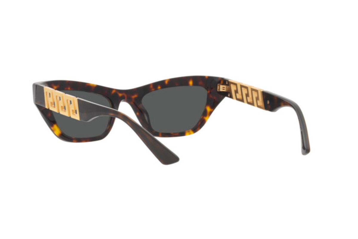 Sunglasses Man Woman Versace VE 4459 108/87 - price: €255.00